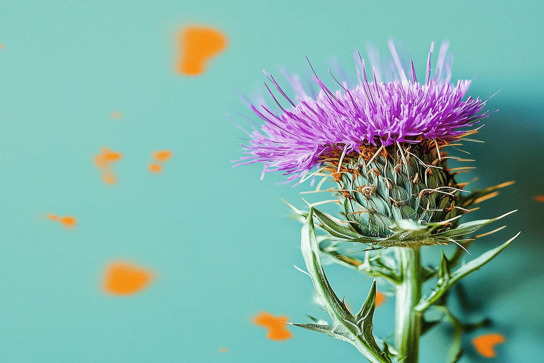 Close-up of a vibrant purple milk thistle flower against a colorful background, symbolizing natural health and detoxification.