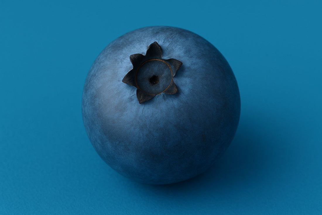 Close-up of a fresh blueberry on a vibrant blue background, symbolizing antioxidant-rich brain health.