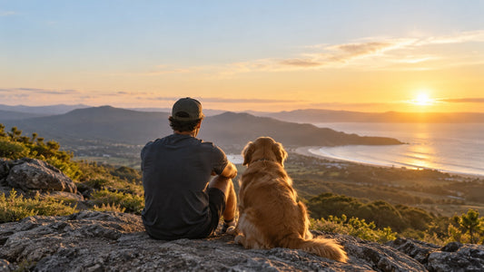 Man and golden retriever overlooking the coast at sunset, representing the five pillars of mental health and overall wellness