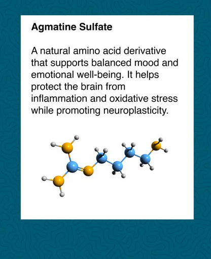 Brain Health & Mood Regulation