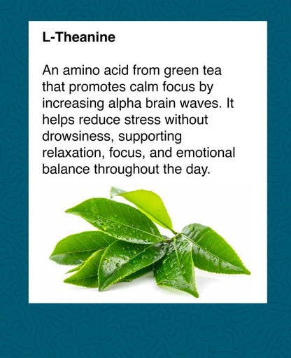 Brain Health & Mood Regulation